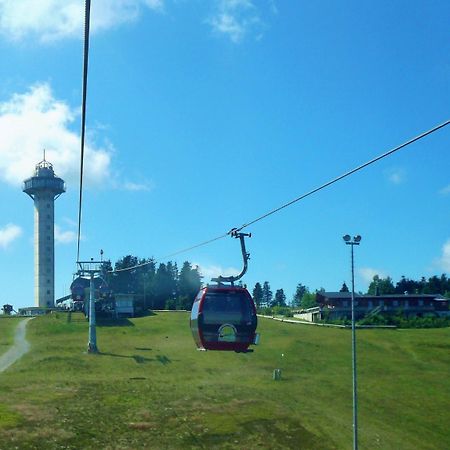 Komfort-Fewo Ettelsberg-Panorama Willingen  Bagian luar foto