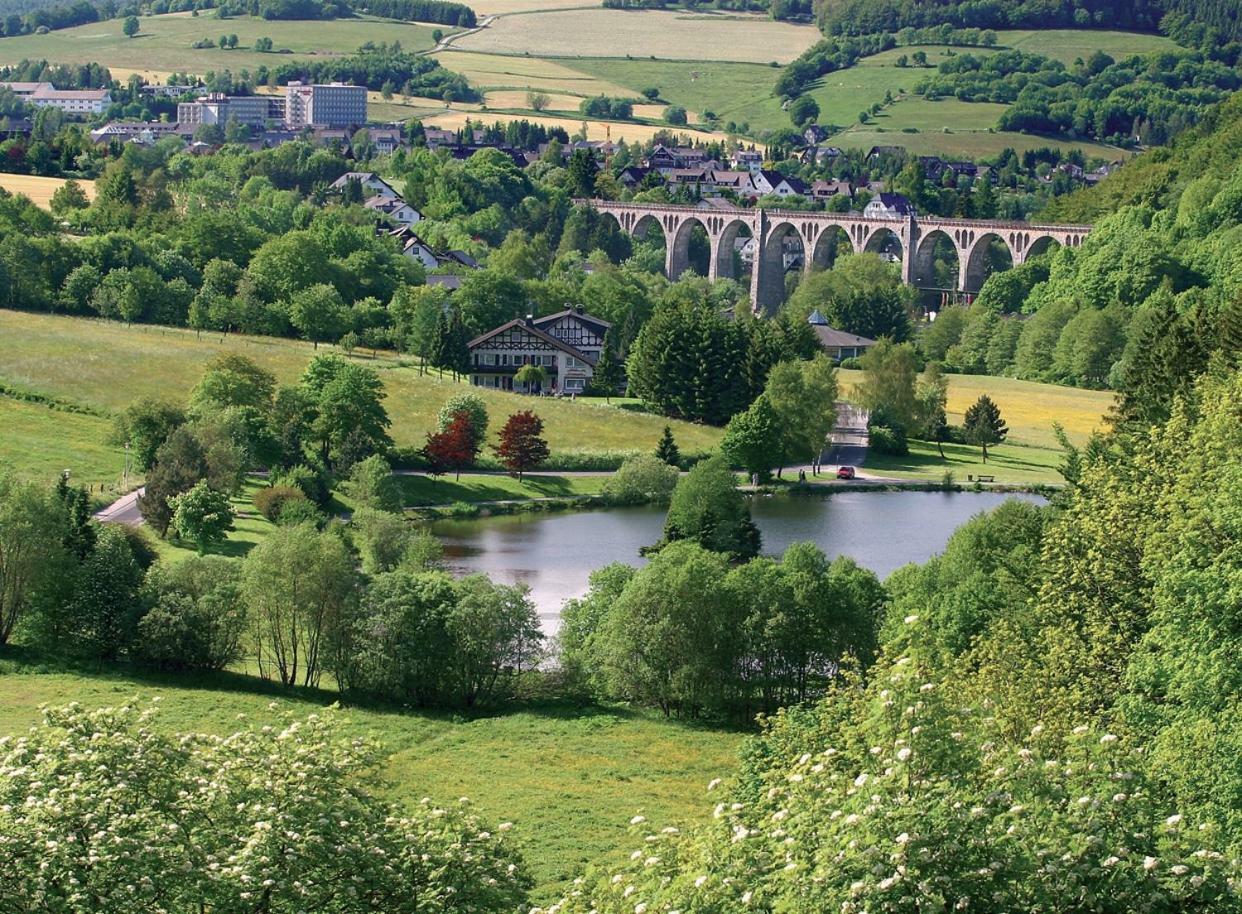 Komfort-Fewo Ettelsberg-Panorama Willingen  Ruang foto
