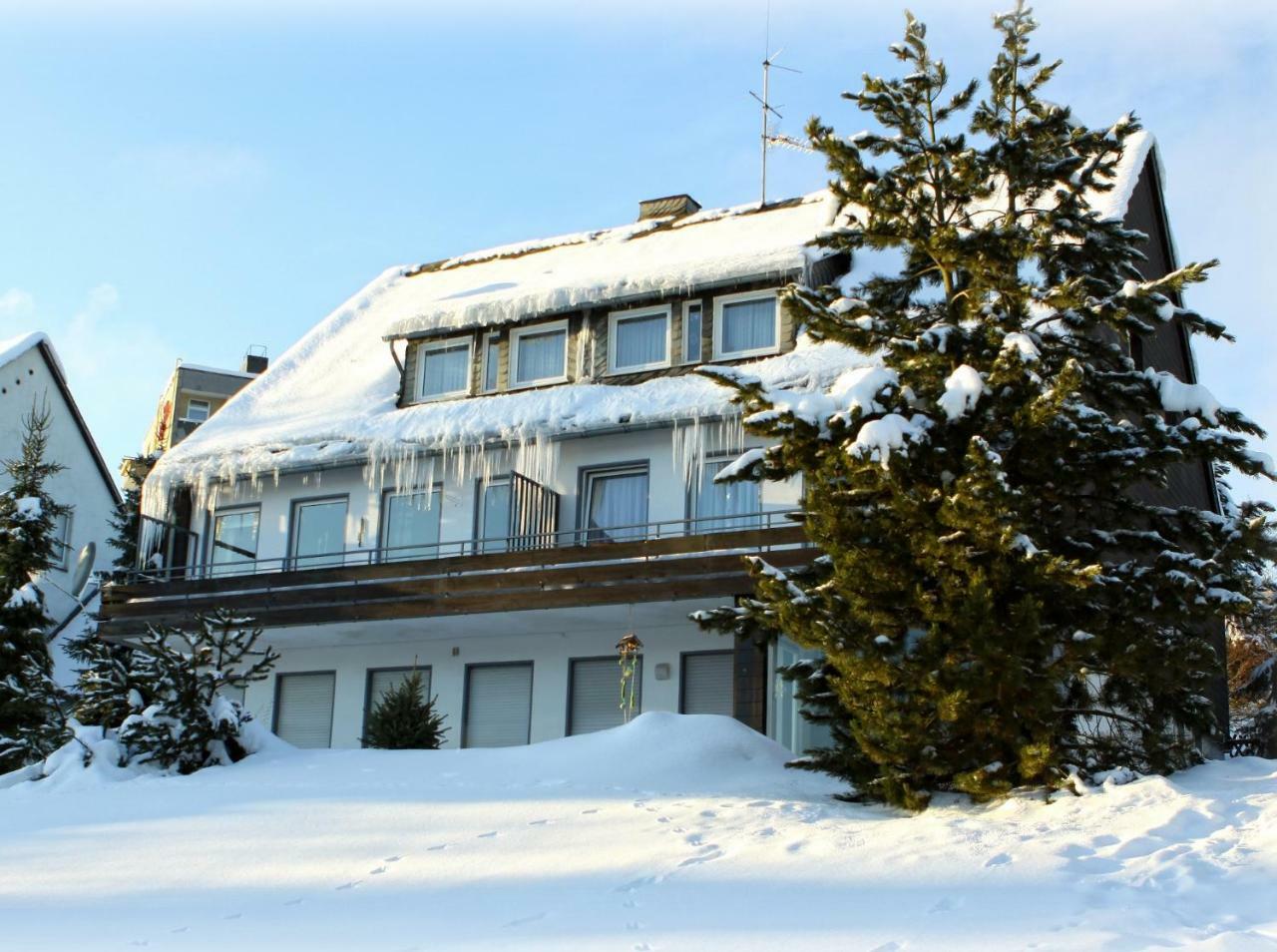 Komfort-Fewo Ettelsberg-Panorama Willingen  Ruang foto
